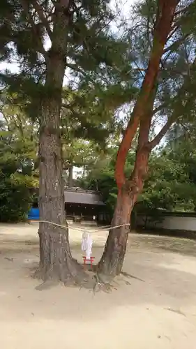 白鳥神社のその他建物