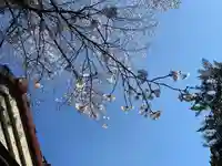 滑川神社 - 仕事と子どもの守り神(福島県)