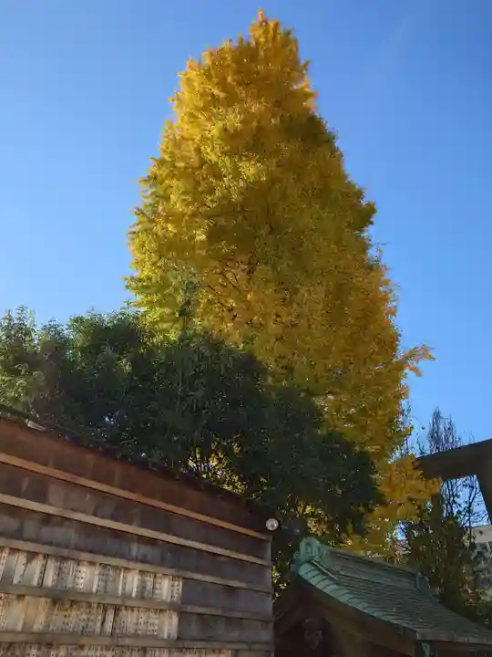 池袋御嶽神社(東京都)