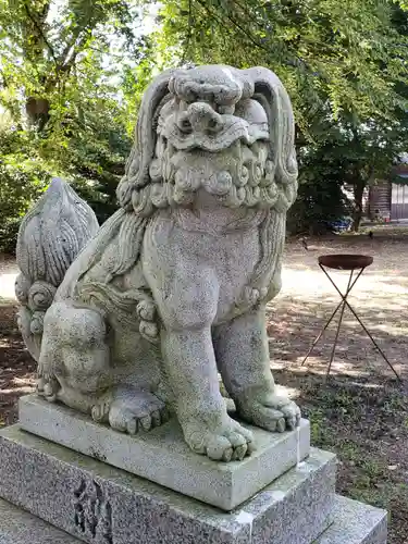 白山比咩神社の狛犬