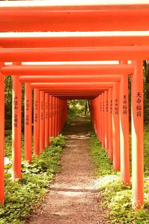 天命稲荷神社(長野県)
