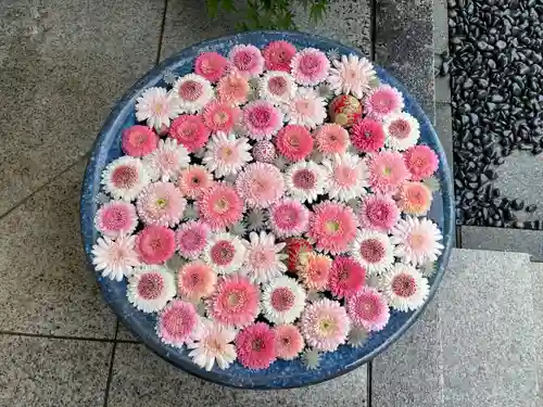 行田八幡神社の手水舎