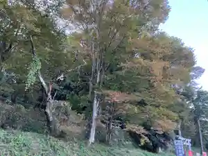 大宮温泉神社(栃木県)(2022年10月30日(日) 10時02分14秒投稿)