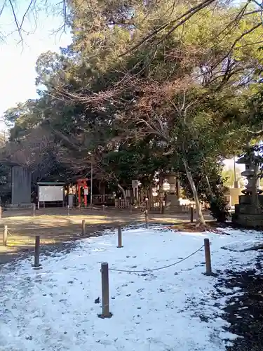 畑子安神社の自然