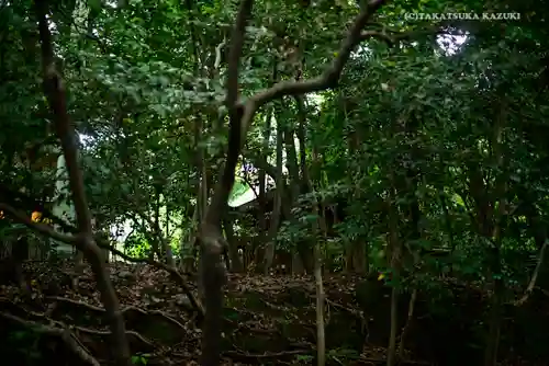 熱田神宮の自然