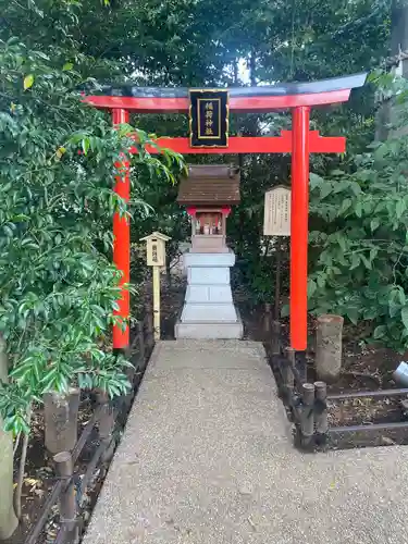 川越八幡宮(埼玉県)