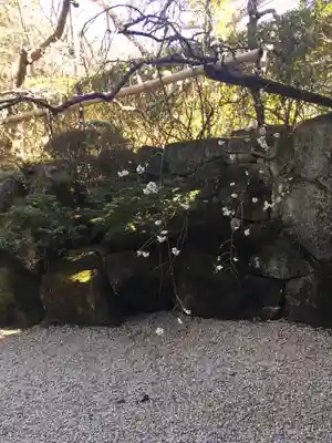 報国寺(神奈川県)