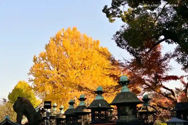 上野東照宮の自然