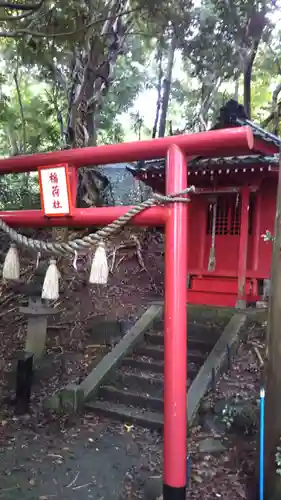 小坂神社の鳥居