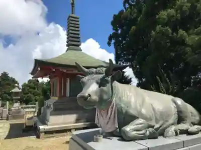 出石寺(愛媛県)