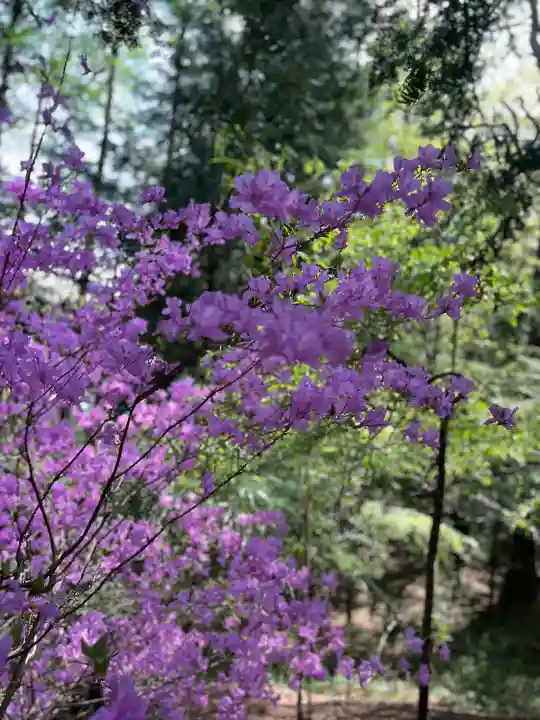 大塚丘(山梨県)