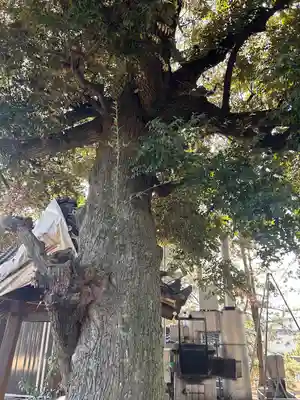 万福寺(愛知県)