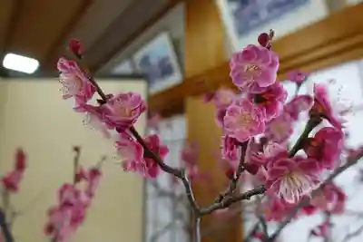菅原天満宮（菅原神社）(奈良県)
