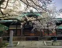 龍光寺(東京都)