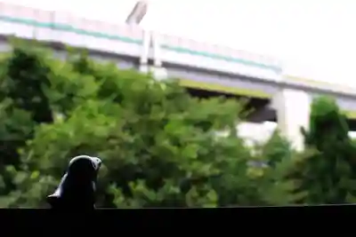 くまくま神社(導きの社 熊野町熊野神社)のその他建物