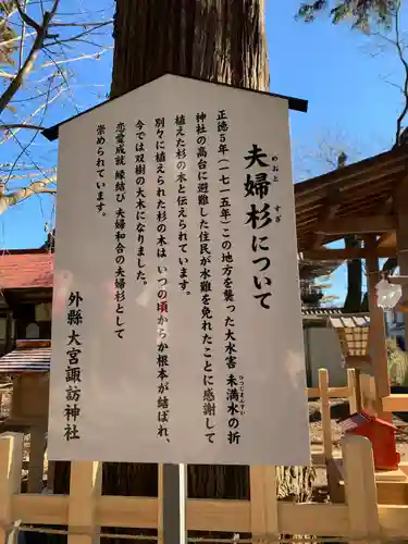 大宮諏訪神社の自然
