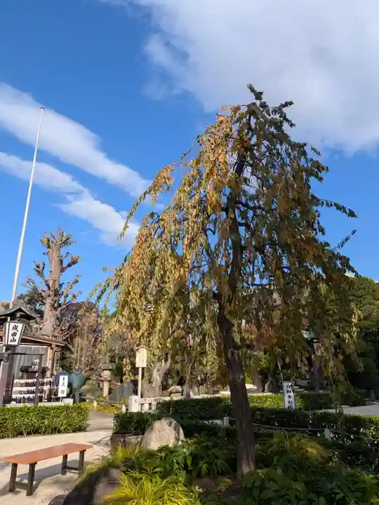 常性寺(東京都)