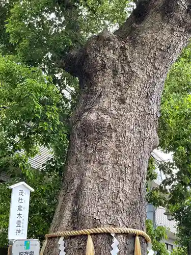 阿倍王子神社(大阪府)