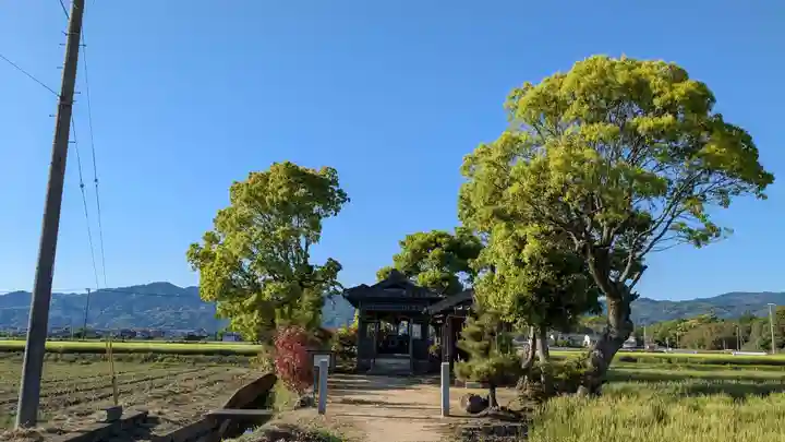 厳島神社の自然