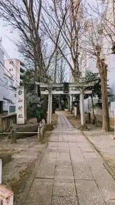 荻窪白山神社の鳥居