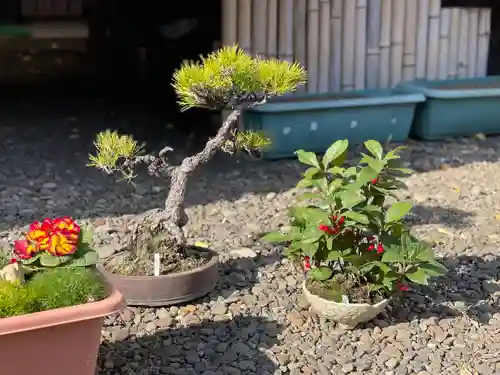 高円寺氷川神社(東京都)