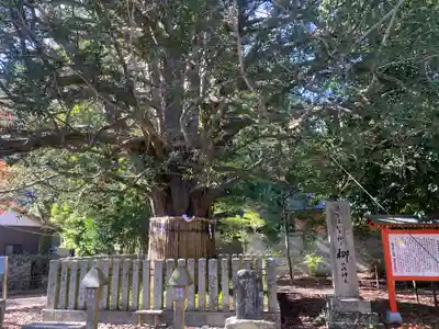 熊野速玉大社(和歌山県)