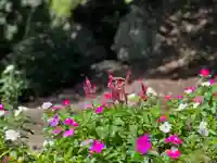 手力雄神社(岐阜県)