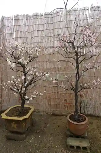 菅原天満宮（菅原神社）のその他建物