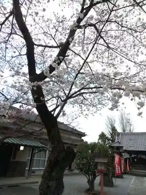 大天白神社(埼玉県)
