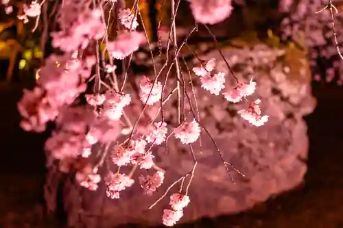 平安神宮(京都府)