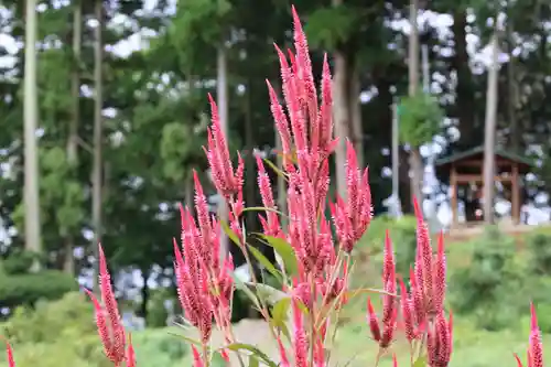 阿久津「田村神社」（郡山市阿久津町）旧社名：伊豆箱根三嶋三社の庭園