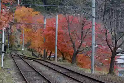 白龍神社(京都府)