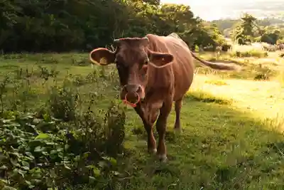 祖母神社(熊本県)
