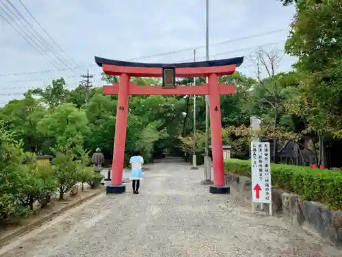 市原稲荷神社の鳥居