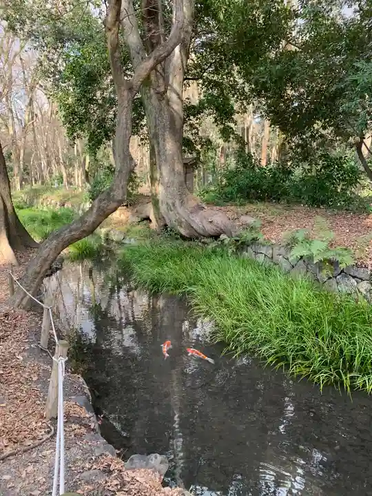 河合神社(鴨川合坐小社宅神社)(京都府)