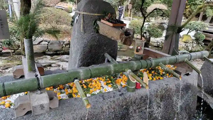賀茂別雷神社(上賀茂神社)(京都府)