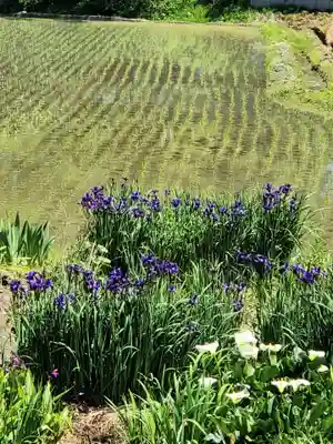 高司神社〜むすびの神の鎮まる社〜(福島県)