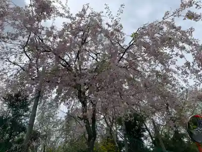 原谷弁財天(京都府)