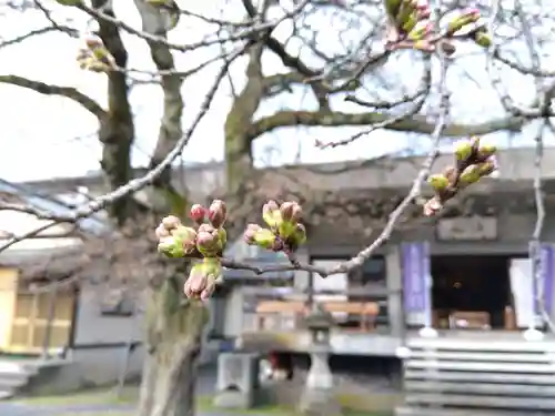妙経寺(福井県)