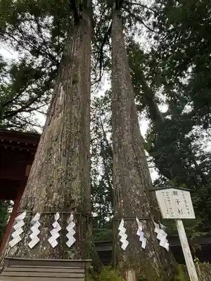 日光二荒山神社(栃木県)