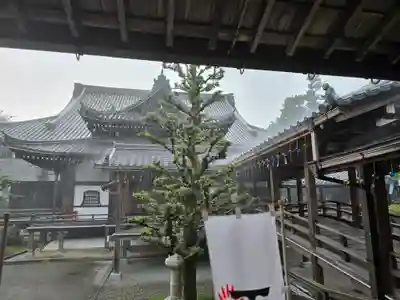 西教寺(滋賀県)