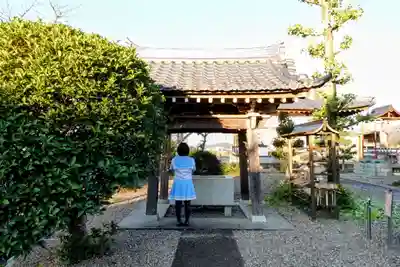 龍泰寺の手水舎