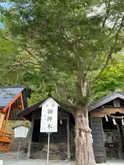 浦幌神社・乳神神社(北海道)