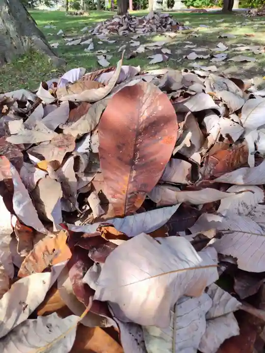 厚別神社(北海道)
