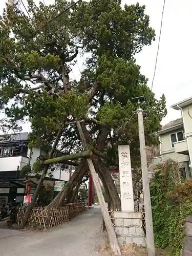 荏柄天神社のその他建物