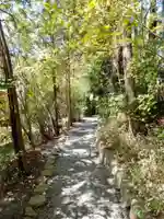 天河大辨財天社の自然