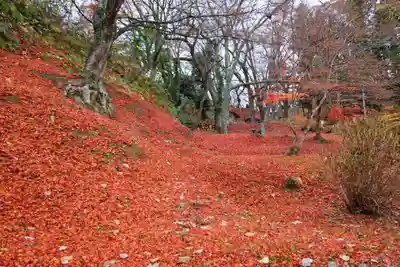 三春大神宮の自然
