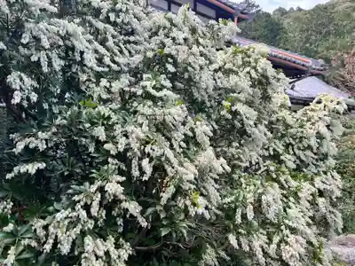 金熊寺(大阪府)