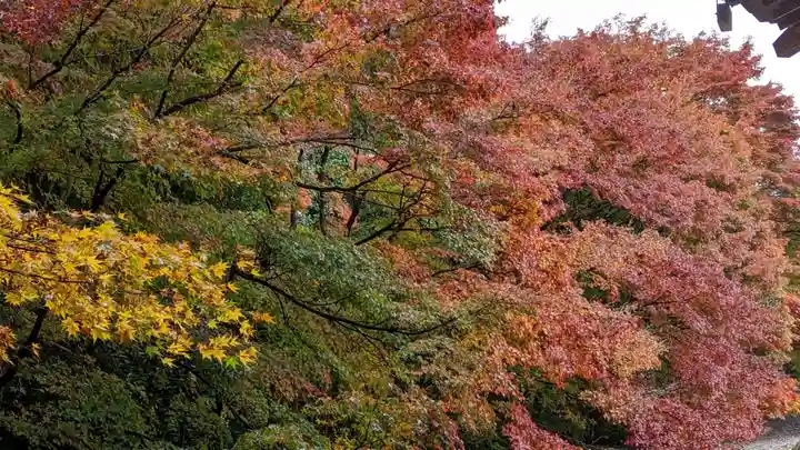 実相院門跡(京都府)