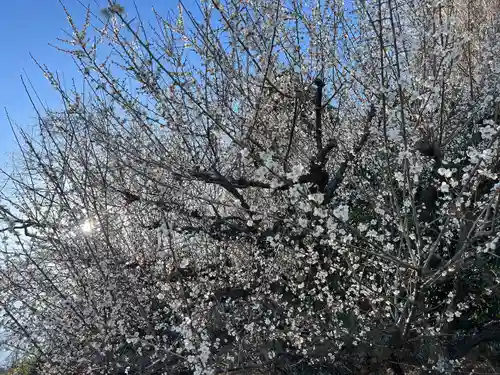 太山寺(栃木県)